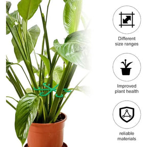 Monarch Wear – Verstellbare Stützklammern für Stängel – PlantHold™