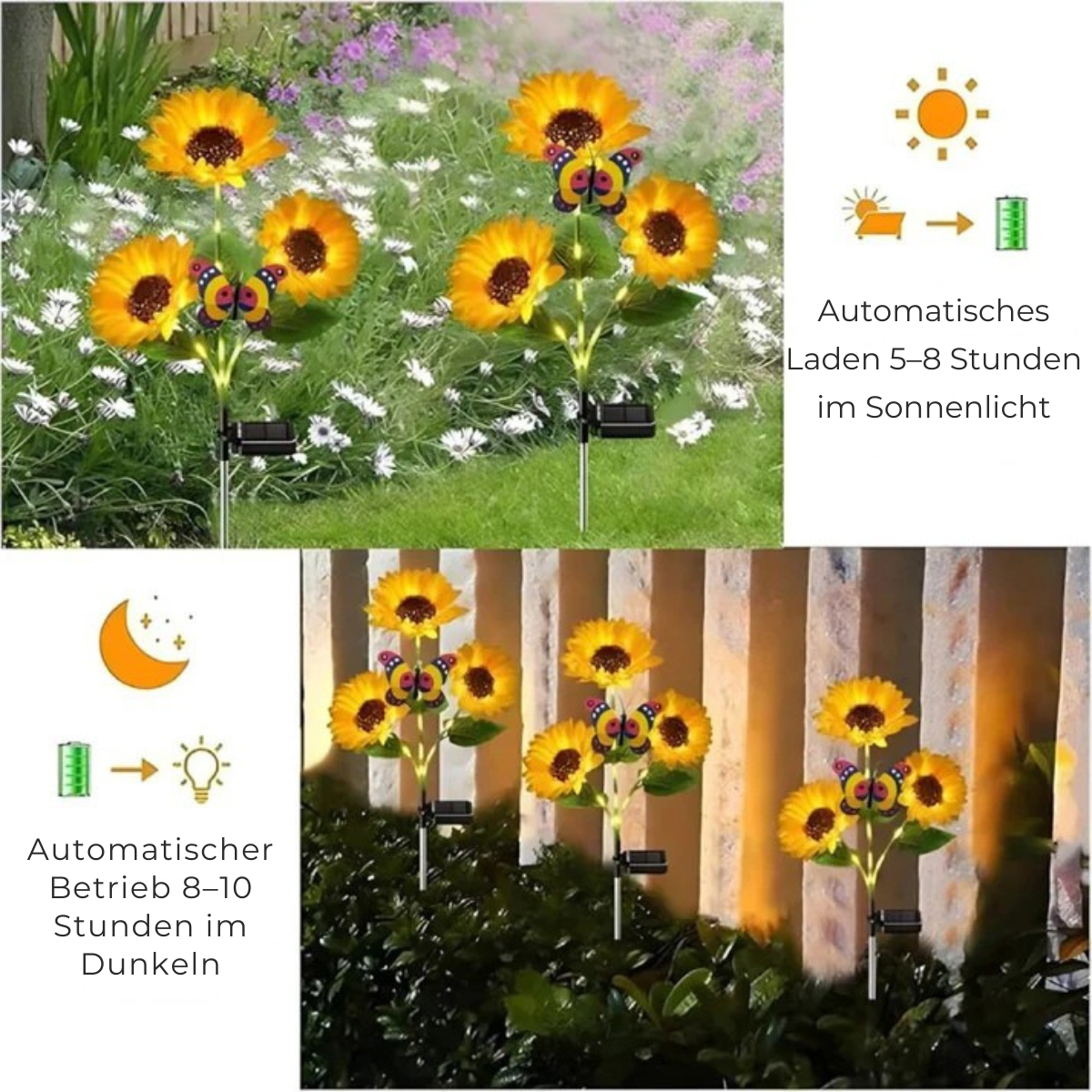 Solar SunFlower™ LED-Leuchten